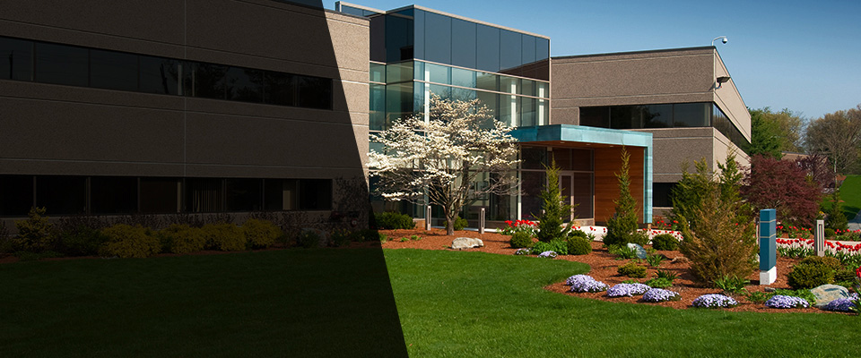 Spring House Landscapers