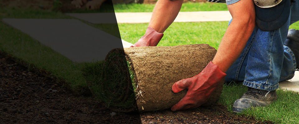 Spring House Landscapers